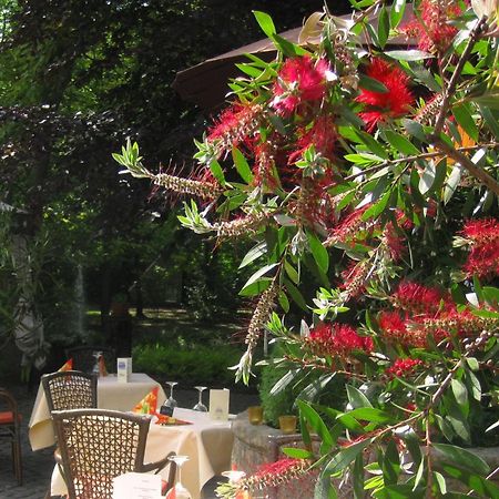 Landidyll Wilminks Parkhotel Neuenkirchen  Exterior foto